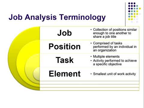 I O Psychology Ch 3: Job analysis definition and approaches