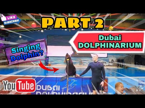 DUBAI DOLPHINARIUM | PART 2