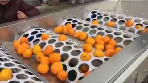 Mandarin grading machine, orange cleaning and grading machine --  0086 13613837205