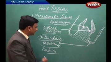 AP & TS State Board Syllabus | Class 9th Biology | Plant Tissues   Live Video