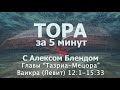 Тора за 5 минут с Алексом Блендом  Отрывки Тазриа  Мецора