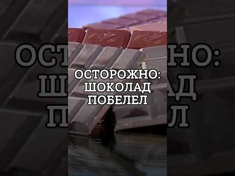 ВЫБРОСИТЬ нельзя есть: ПОЧЕМУ на шоколаде ПОЯВЛЯЕТСЯ белый налет