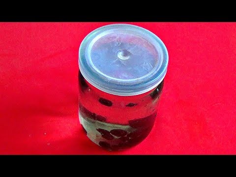 Боярышник поможет НЕ ТОЛЬКО сердечникам! Укрепи мужскую силу.