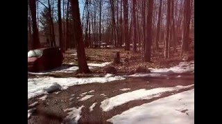 My Back Yard On Drag Lake | April 15, 2016