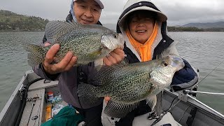 2 Pound Crappies Are Schooling Up And We're Whacking Them.