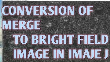 To get brightfield image from a overlay image using image J