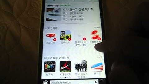 Windows Phone 8.1 Internet Explorer Scroll Bug :(