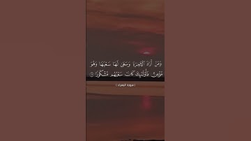 سورة الاسراء آيه ١٩#القرآن_الكريم #العراق #allah #quran #tiktok #instagram #العراق #اكسبلور #لايك