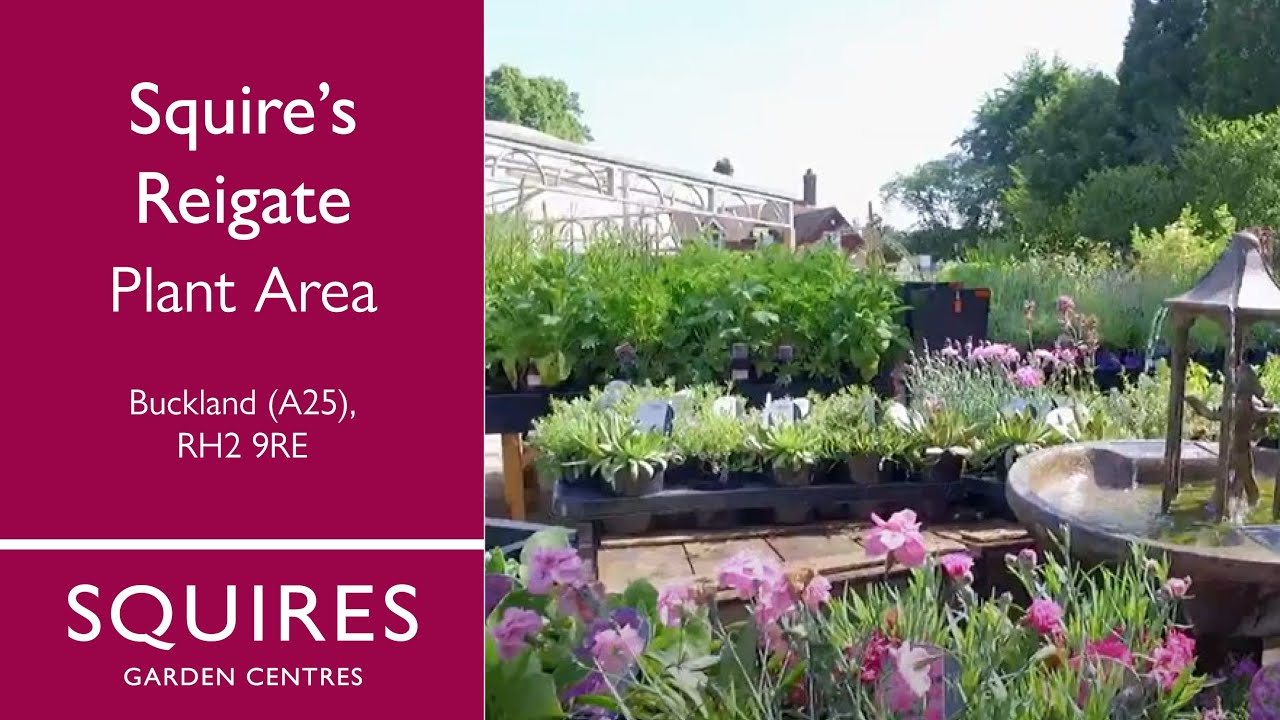 Reigate Squire S Garden Centres