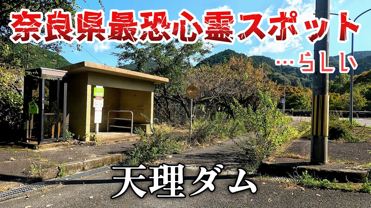 奈良県最恐心霊スポットらしい天理ダムで化け猫達に会う。Meet a monster cat at Tenri Dam, a haunted spot in Nara Prefecture.