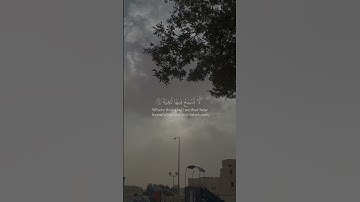 عبدالرحمن مسعد | سورة الغاشية