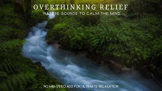 ✾ Overthinking Relief ✾ | Nature Sounds to Calm the Mind by Sleep Easy Relax - Keith Smith 1,524 views 1 month ago 50 minutes