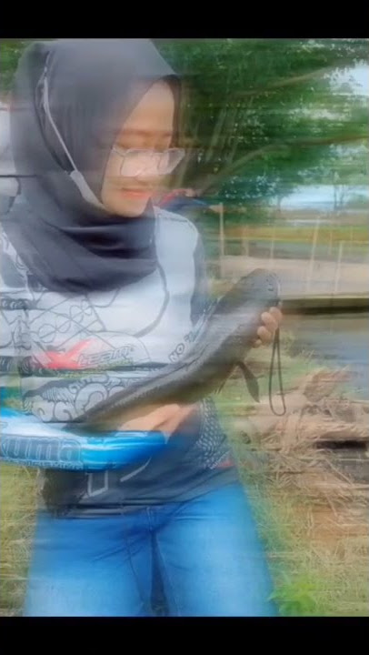 Cewek cantik mancing ikan Gabus#shorts