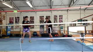 2021040508 toellgym.com