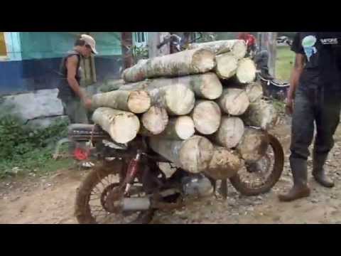 90 Foto modifikasi motor ojek sawit Paling Keren