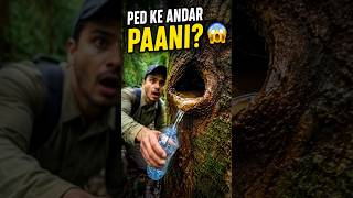 Ped Ke Andar Pani? 😱 Amazon Jungle Ka Hairan Kar Dene Wala Raaz! #shorts