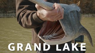 Paddlefish Grand Lake O'the Cherokees (Spoonbill Fishing Oklahoma 2024)
