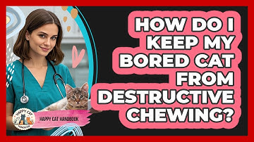 How Do I Keep My Bored Cat From Destructive Chewing?