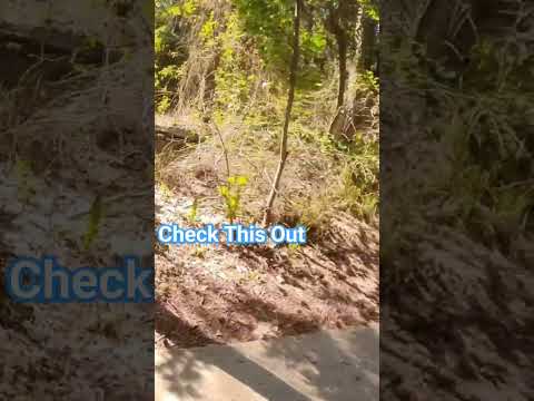 Take a walk