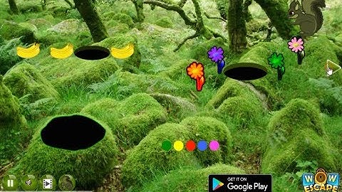 Wow Green Bush Squirrel Forest Escape walkthrough.