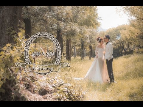 【婚禮MV】阿德&小戴 MV ｜婚紗MV｜成長MV｜愛情MV