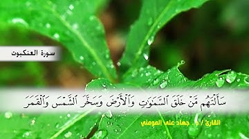 سوره العنكبوت من ( ايه 46 ) الى ( ايه 69 )  بصوت القارئ د.جهاد المومني
