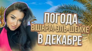 Погода в Шарм эль Шейхе в декабре