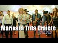 Marioara Trita Craiete - Mega Colaj Live - Hore , Sarbe - NOU