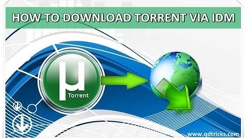 How to download torrent files using IDM