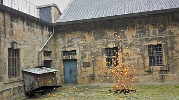 Blender Boids Animation follow the leader