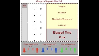 Laboratorio virtual de Física | Electromagnetismo | Práctica 6  Partícula cargada en campo magnético