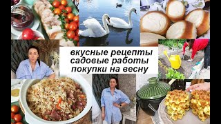 Как отметили Пасху. Дела садовые. Рецепты на каждый день - пуховые ВАТРУШКИ! Покупки.