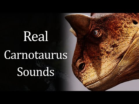 Real Carnotaurus Sounds