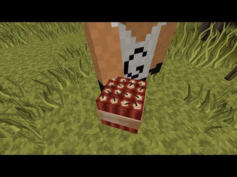 Noob VS Pro: Traps - Minecraft