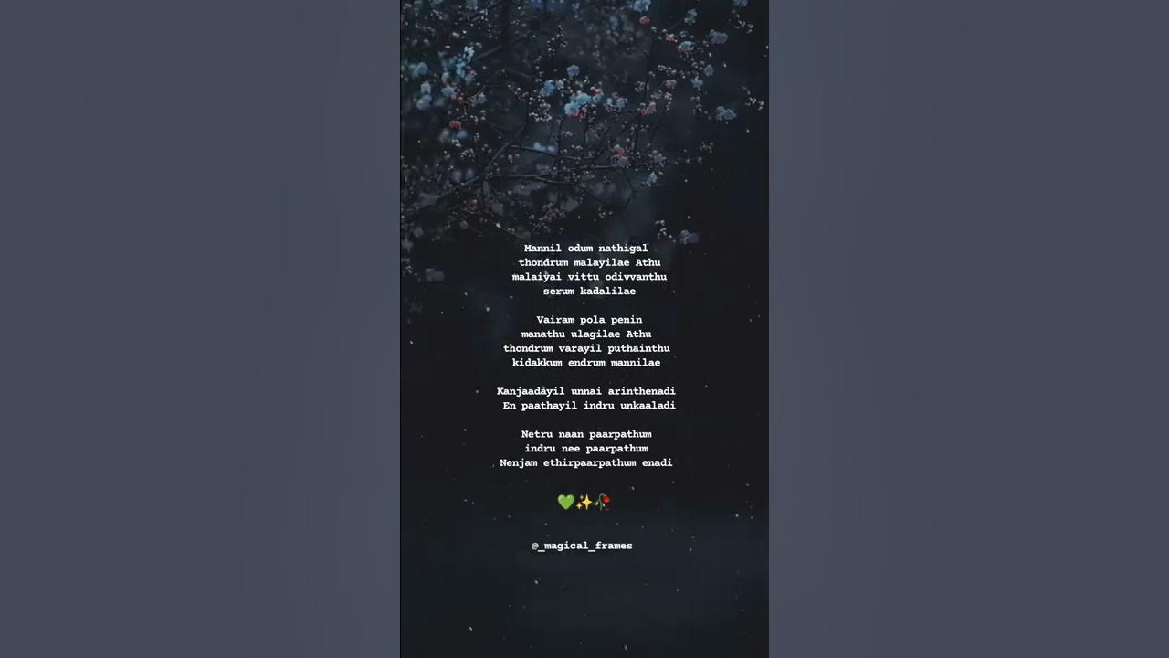 Yaar Indha Saalai Oram Song Lyrics | Magical Frames | WhatsApp Status Tamil | Tamil Lyrics Song