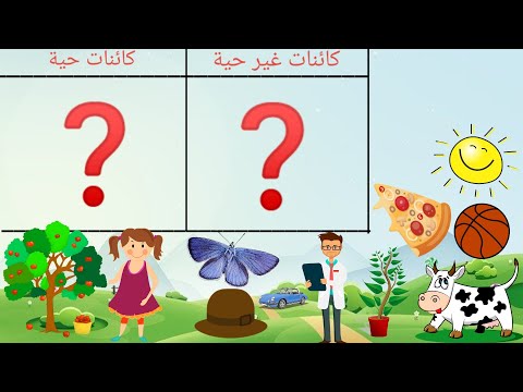 تصنيف الأشياء إلى كائنات حية وكائنات غير حية التعرف على الكائنات الحية التعرف على الكائنات الغير حية