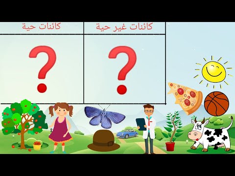 فيديو: الطبيعة غير الحية - ما هي؟