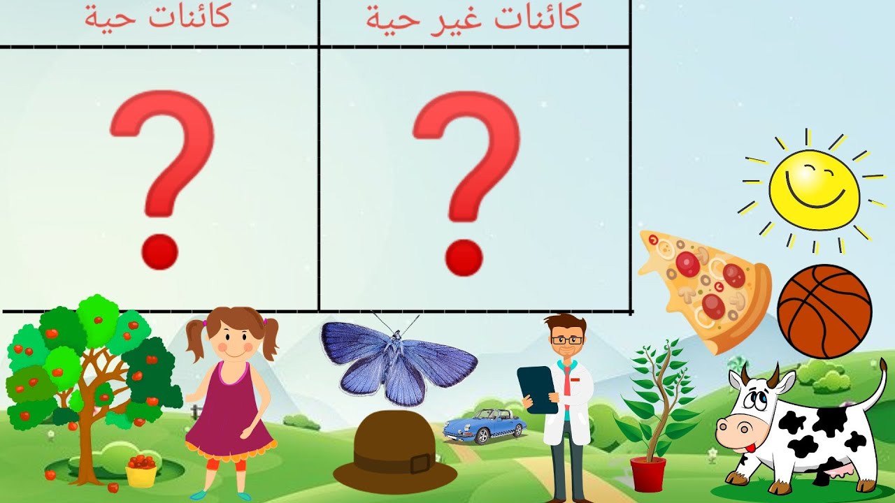 تصنيف الأشياء إلى كائنات حية وكائنات غير حية التعرف على الكائنات الحية التعرف على الكائنات الغير حية Youtube