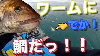 冬の真鯛＆太刀魚！SLJとワームで狙う！時化後の大荒れから一転、まさかのベタ凪・・・・