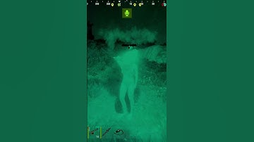 I HAVE A VISITOR IN #RUST