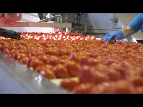 Red Gold Tomatoes Food TV Commercial The Red Gold Fresh Pack Factory Tour