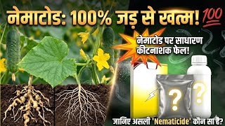 How to Control Nematode | नेमाटोड (सूत्रकृमि) को जड़ से खत्म कैसे करें? Root Knot Nematode Control