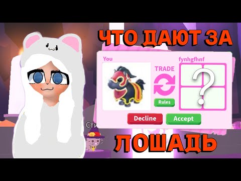 ЧТО ДАЮТ ЗА