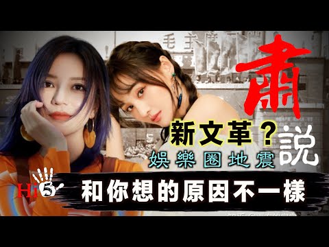 肅說：新文革？娛樂圈地震 和你想的原因不一樣