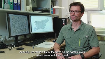 ROSEWOOD4.0 National Forest Inventory