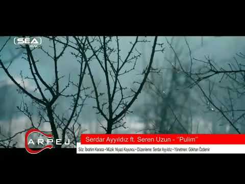 SERDAR AYYILDIZ FEAT. SEREN UZUN - PULIM