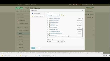 brightspace using accessible HTML template with Cascading Style Sheets (CSS)