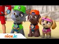 PAW Patrol | Die Welpen retten ein Oktopusbaby! | Nick Jr. Deutschland