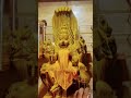 Varahi amman #varahi #religion #devotional #varahi_vastu #god #varahidevi #astrology #shorts