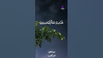 تلاوة ندية من سورة لقمان   أحمد كاسب